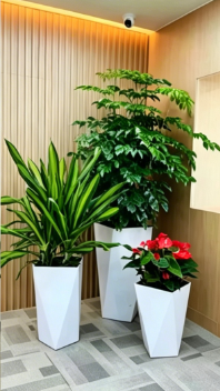 宁波绿色植物租用-鄞州花木租赁服务-北仑植物摆放-海曙绿化养护修剪师